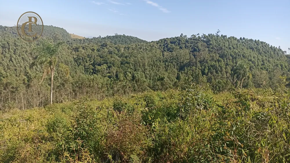 Fazenda, 300 m² - Foto 4