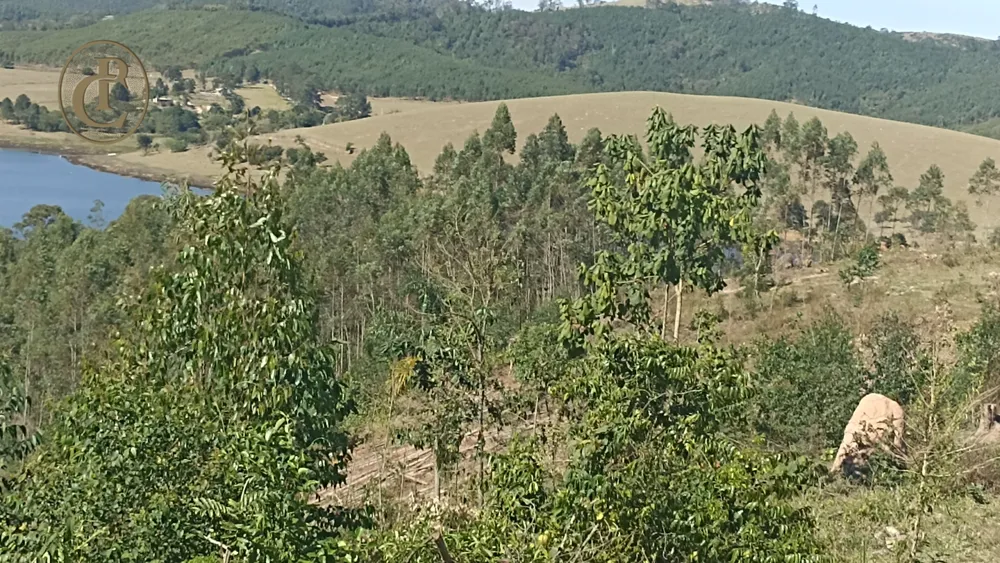 Fazenda, 300 m² - Foto 3