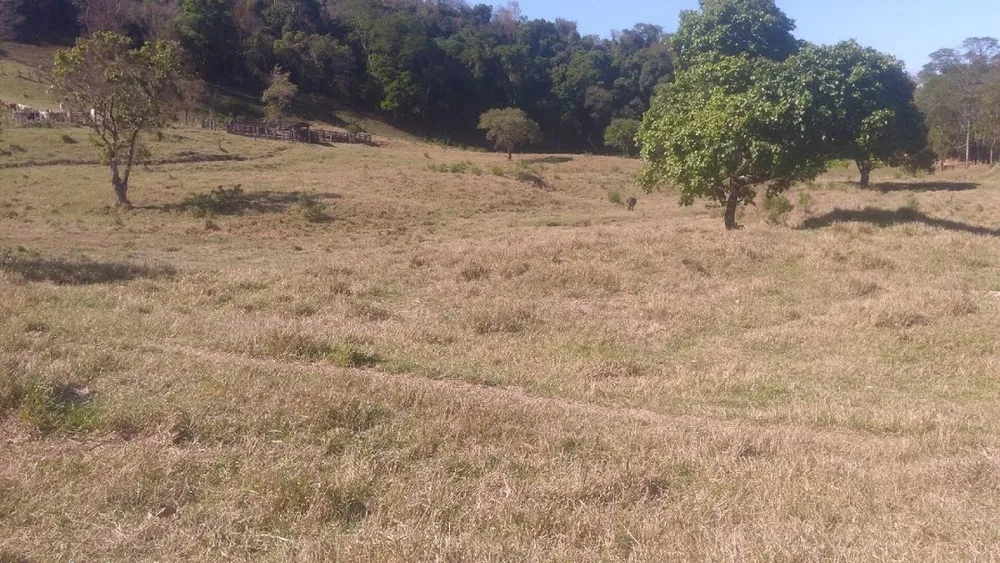 Fazenda, 100 m² - Foto 9