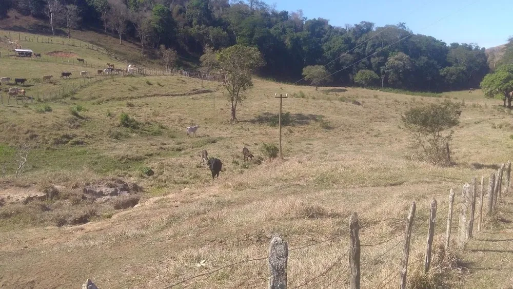Fazenda, 100 m² - Foto 8
