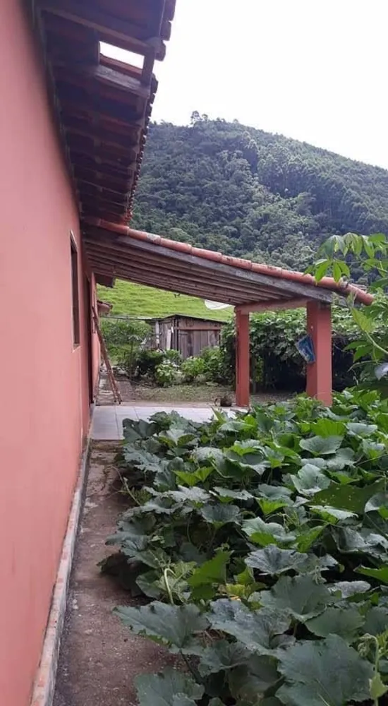 Sítio, 2 quartos, 200 m² - Foto 1