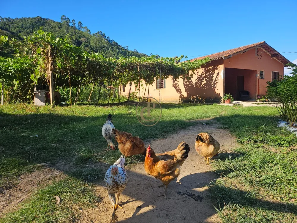 Sítio, 2 quartos, 200 m² - Foto 12