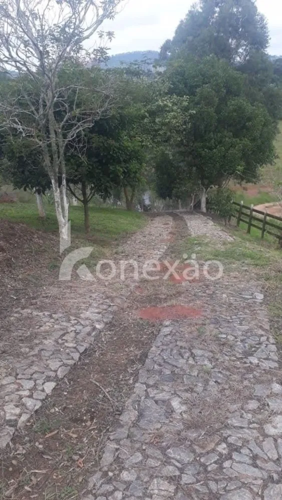Chácara, 3 quartos, 200 m² - Foto 15