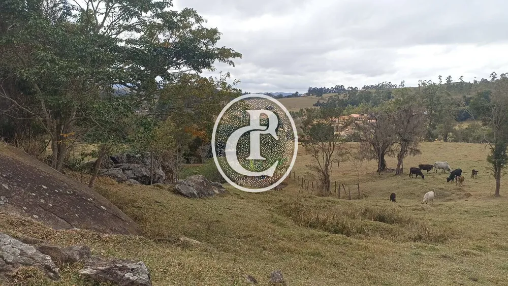 Sítio, 3 quartos, 4 hectares - Foto 7