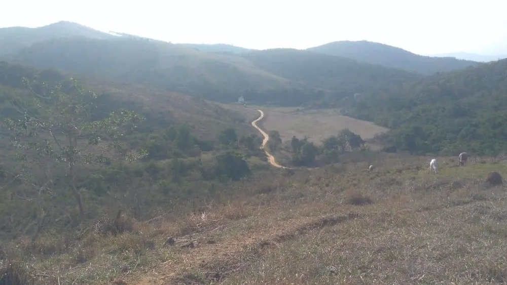 Fazenda, 424 hectares - Foto 9