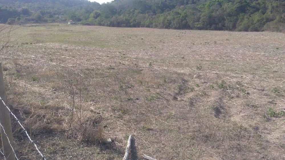 Fazenda, 424 hectares - Foto 10