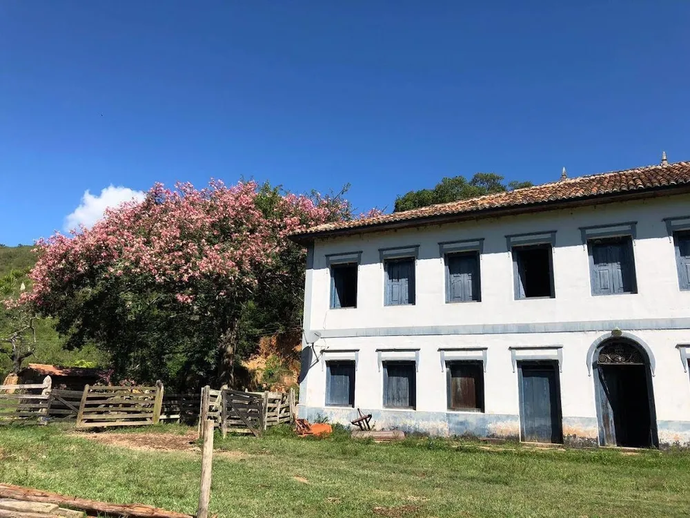 Fazenda, 424 hectares - Foto 7