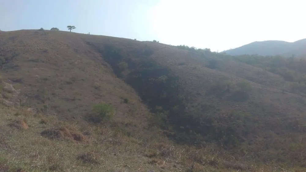 Fazenda, 424 hectares - Foto 4