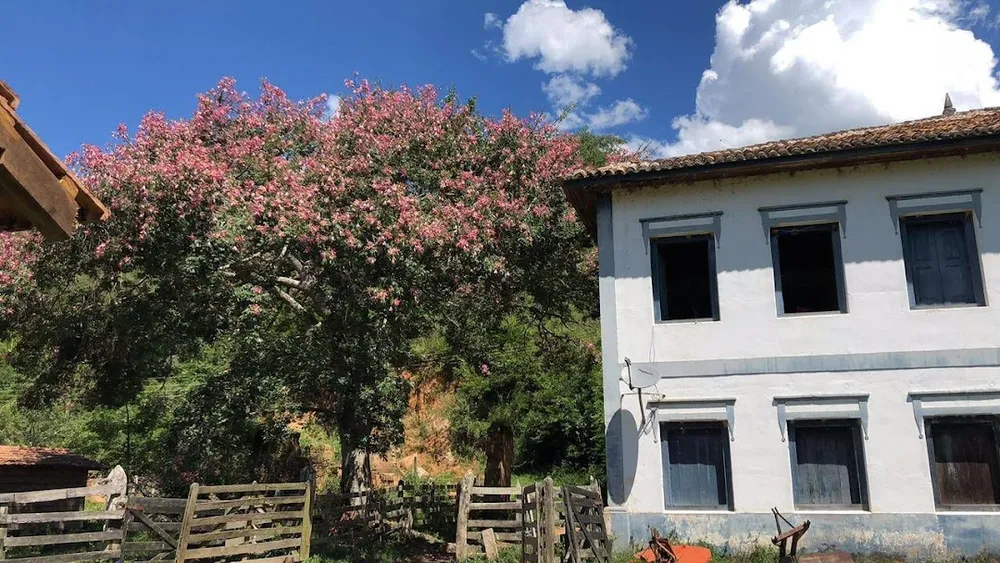 Fazenda, 424 hectares - Foto 1