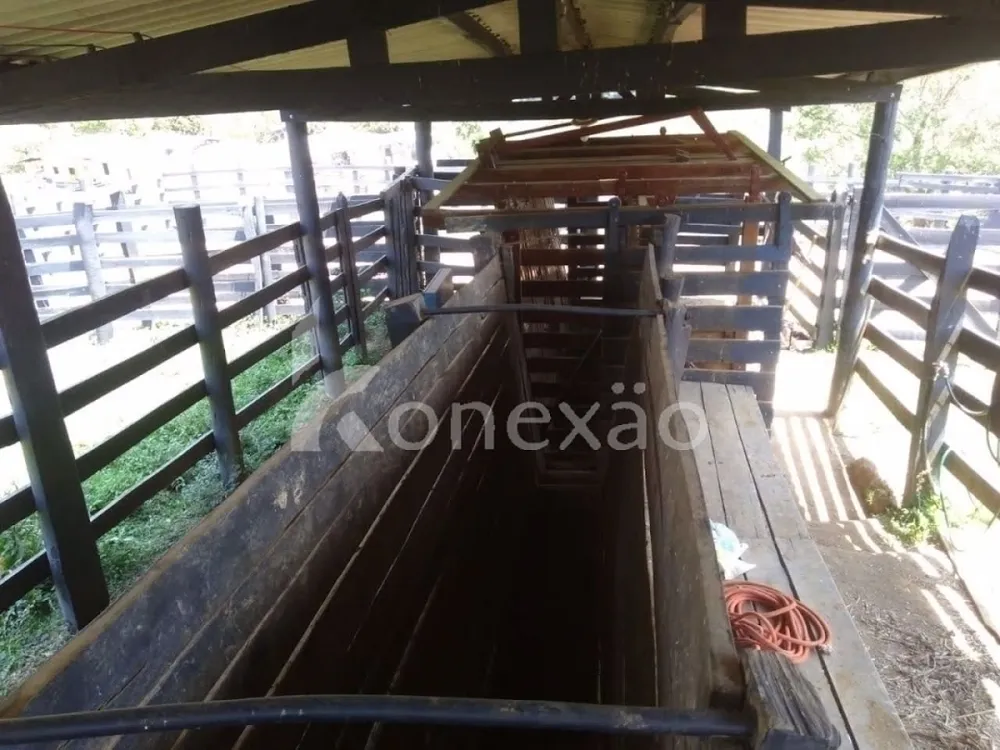 Fazenda, 203 hectares - Foto 16