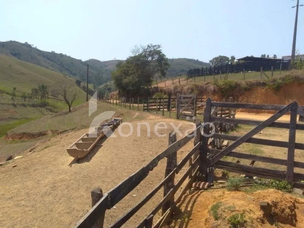 Fazenda, 203 hectares - Foto 3