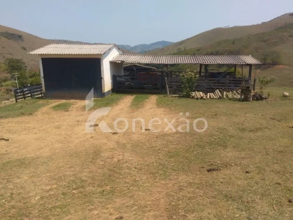 Fazenda, 203 hectares - Foto 11