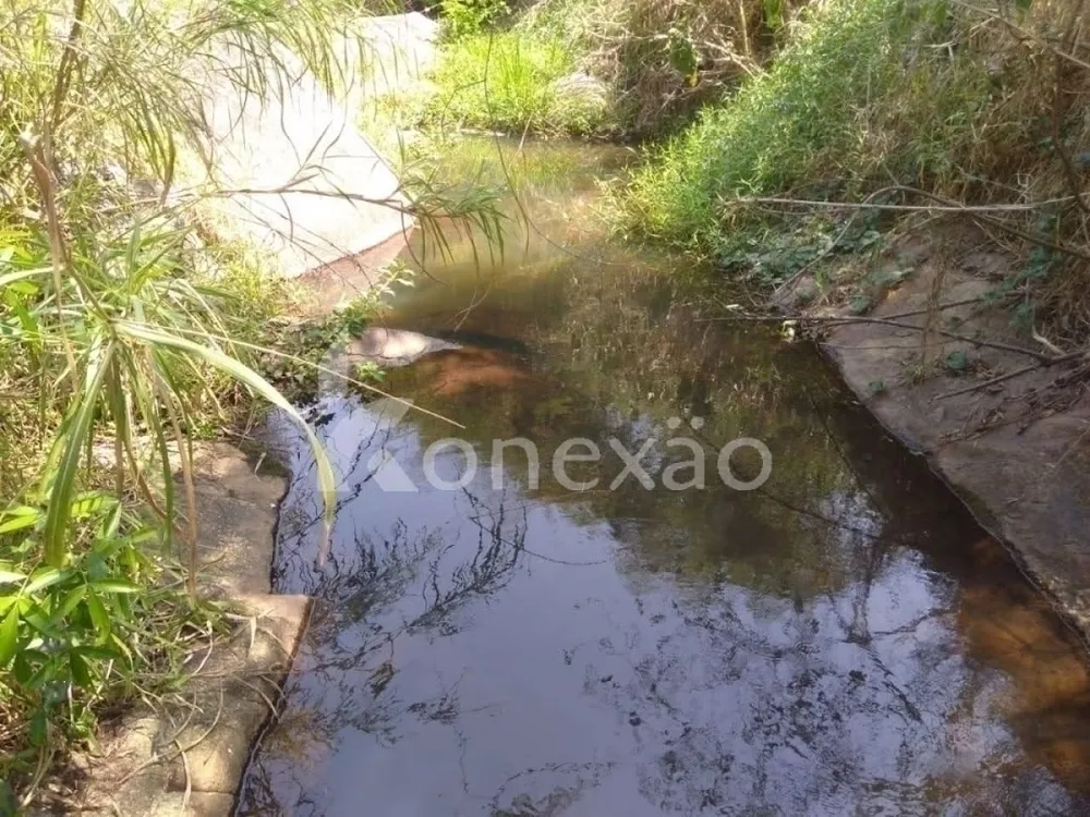Fazenda, 203 hectares - Foto 14