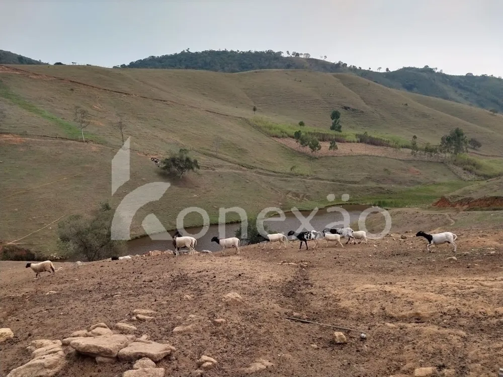 Fazenda, 203 hectares - Foto 1