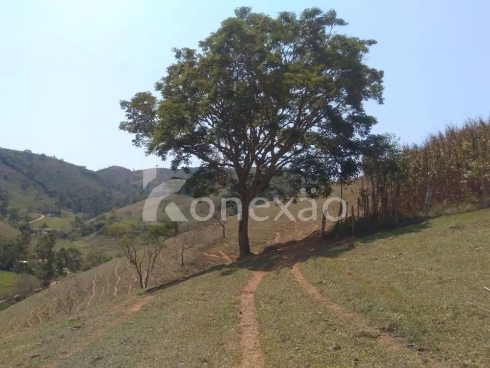 Fazenda, 203 hectares - Foto 6