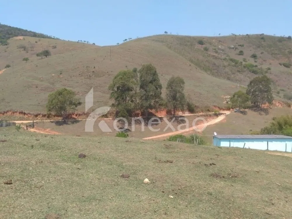 Fazenda, 203 hectares - Foto 8