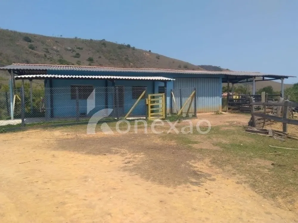 Fazenda, 203 hectares - Foto 7