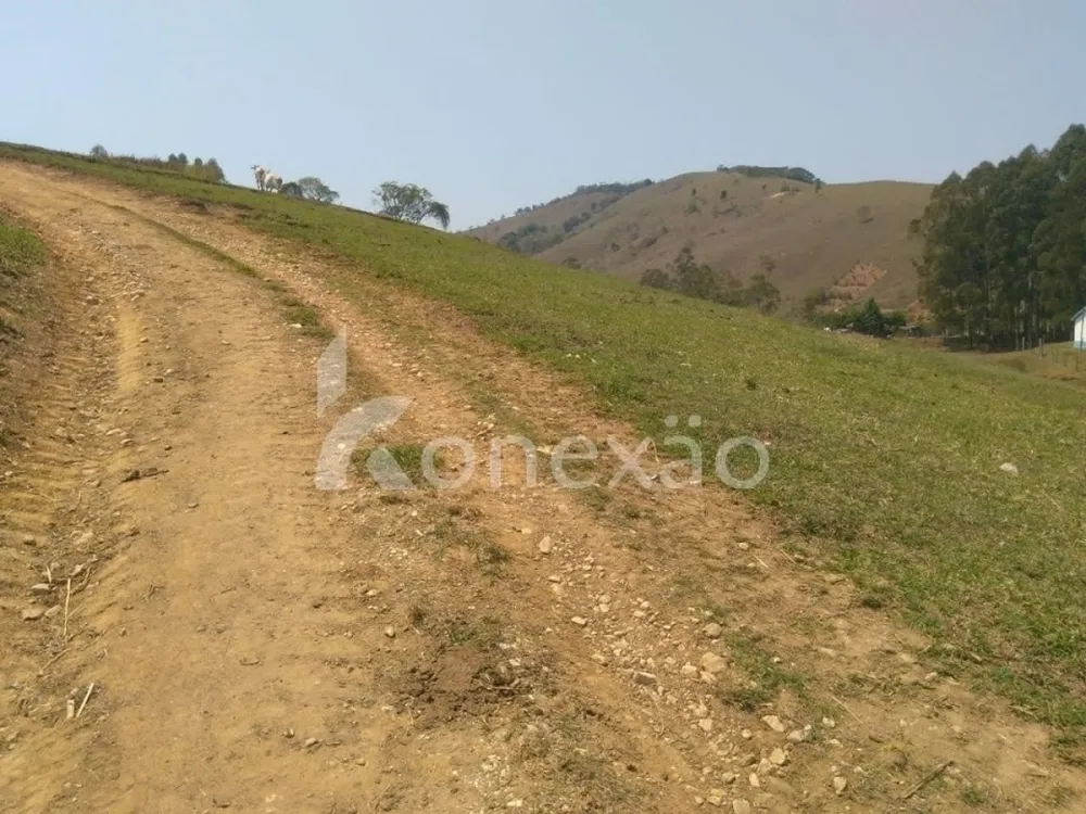 Fazenda, 203 hectares - Foto 10