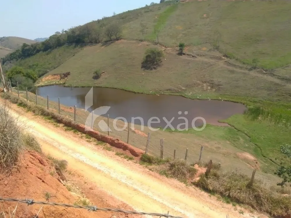 Fazenda, 203 hectares - Foto 13