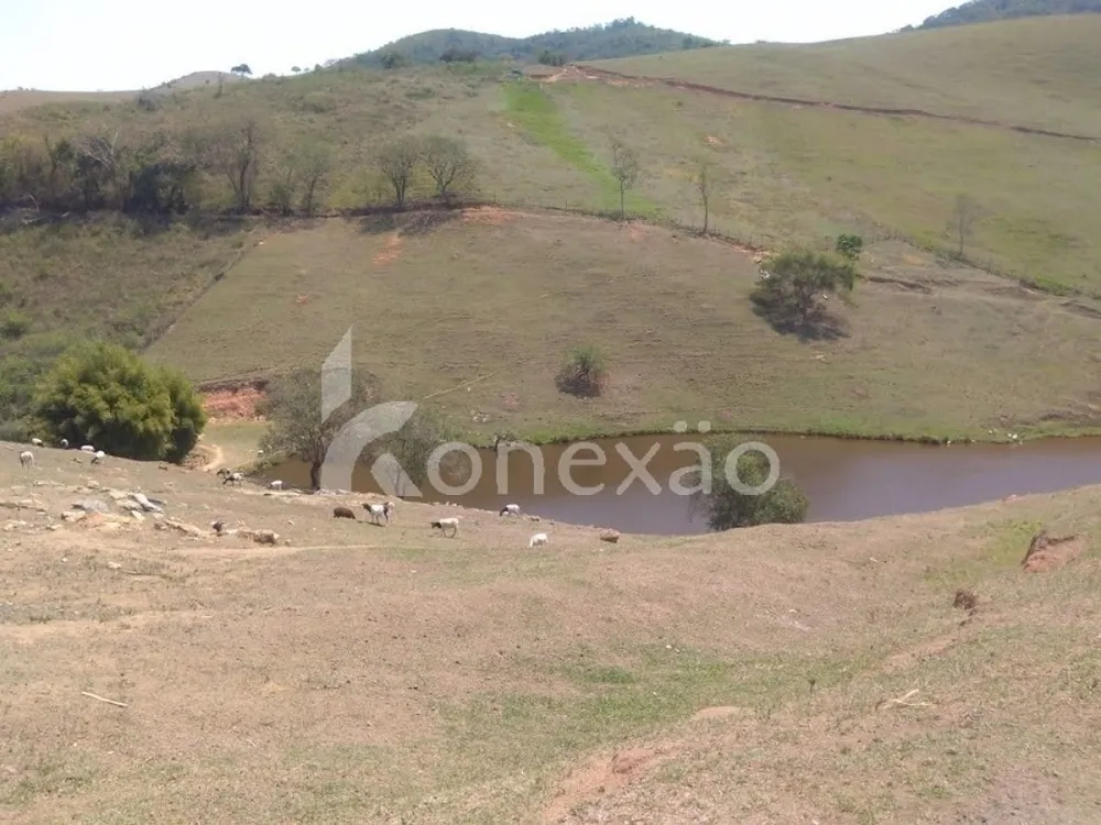 Fazenda, 203 hectares - Foto 15