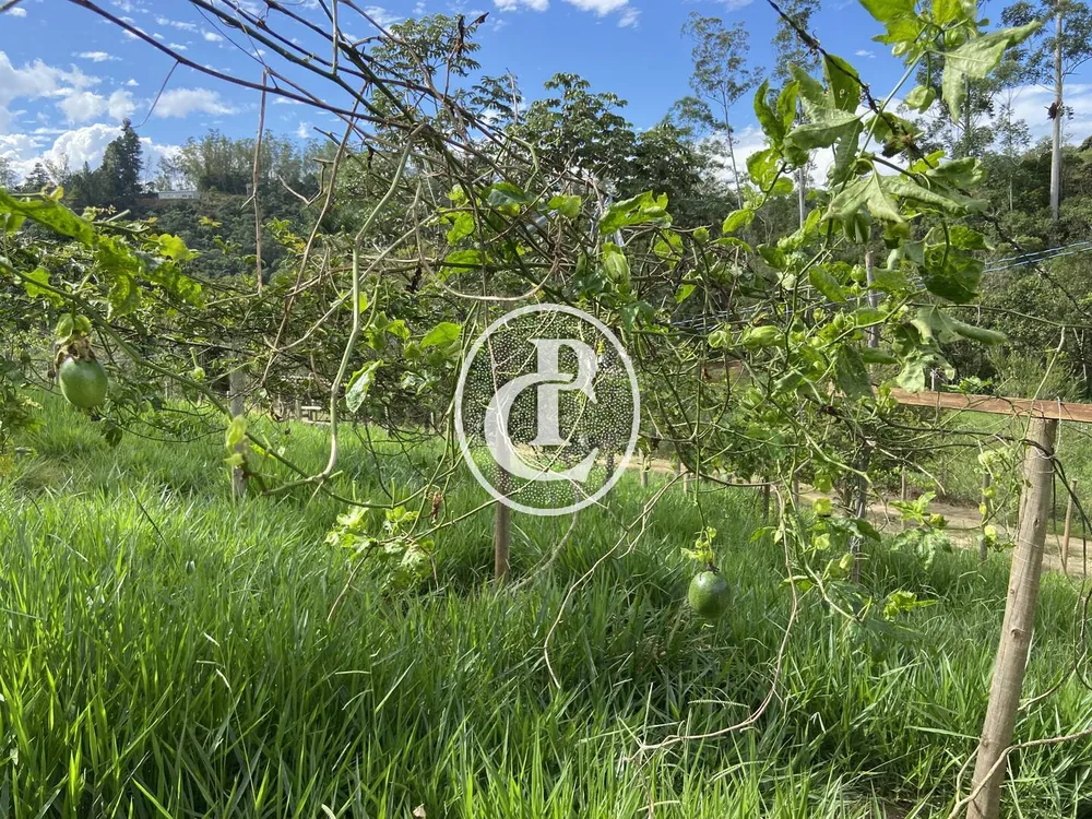 Chácara, 3 quartos, 2 hectares - Foto 1