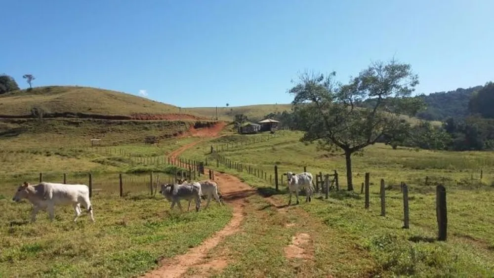 Terreno, 97 hectares - Foto 8