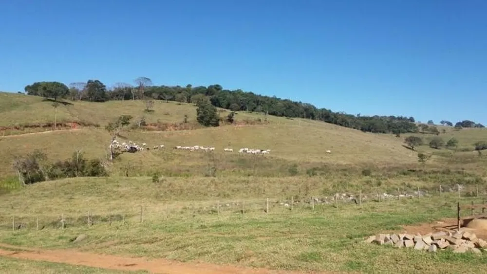 Terreno, 97 hectares - Foto 7
