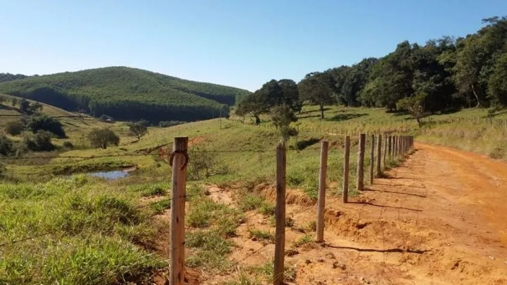 Terreno, 97 hectares - Foto 3