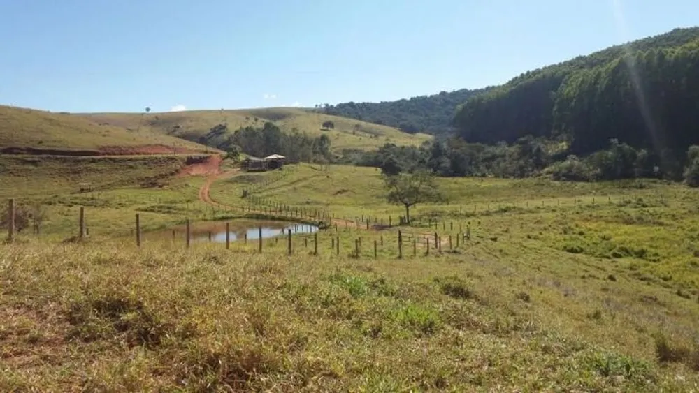 Terreno, 97 hectares - Foto 10