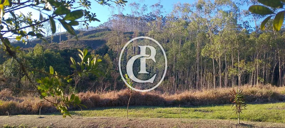 Sítio, 3 quartos, 7 hectares - Foto 4