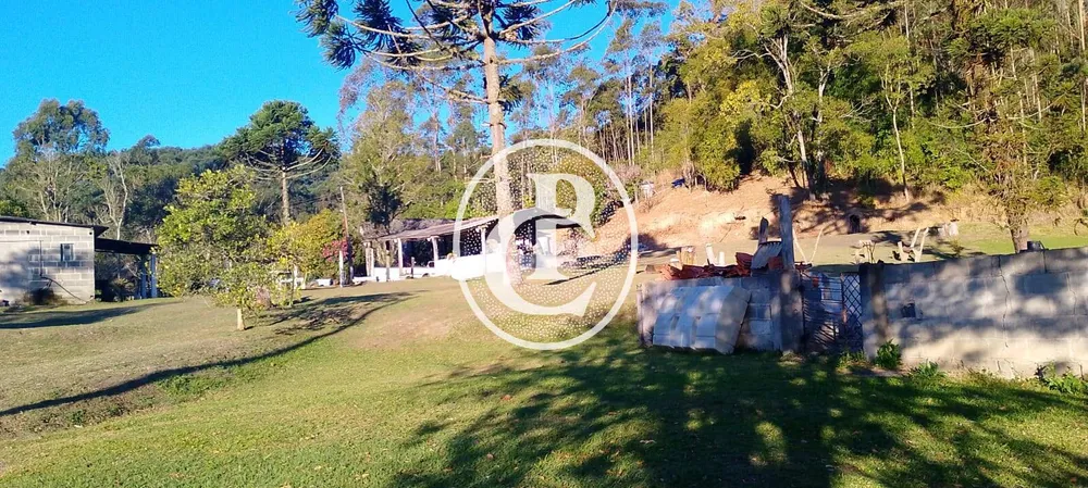 Sítio, 3 quartos, 7 hectares - Foto 6