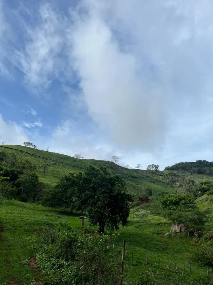 Fazenda, 200 m² - Foto 2