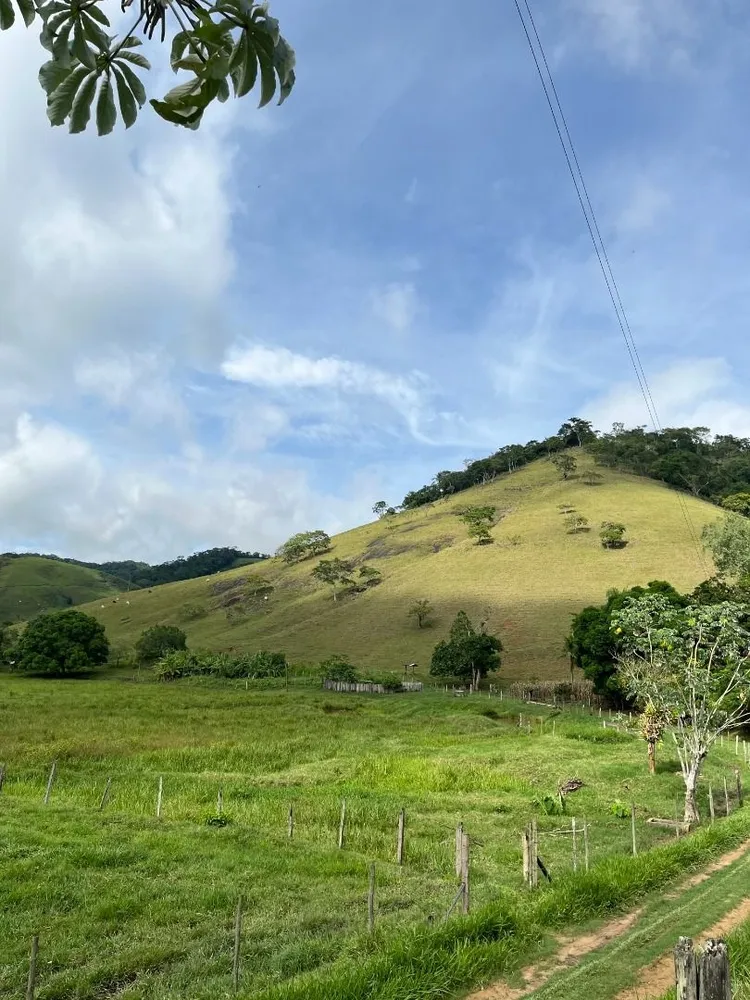 Fazenda, 200 m² - Foto 4