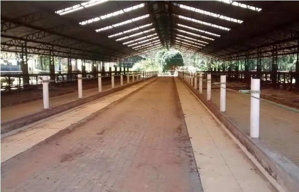 Fazenda, 500 m² - Foto 6