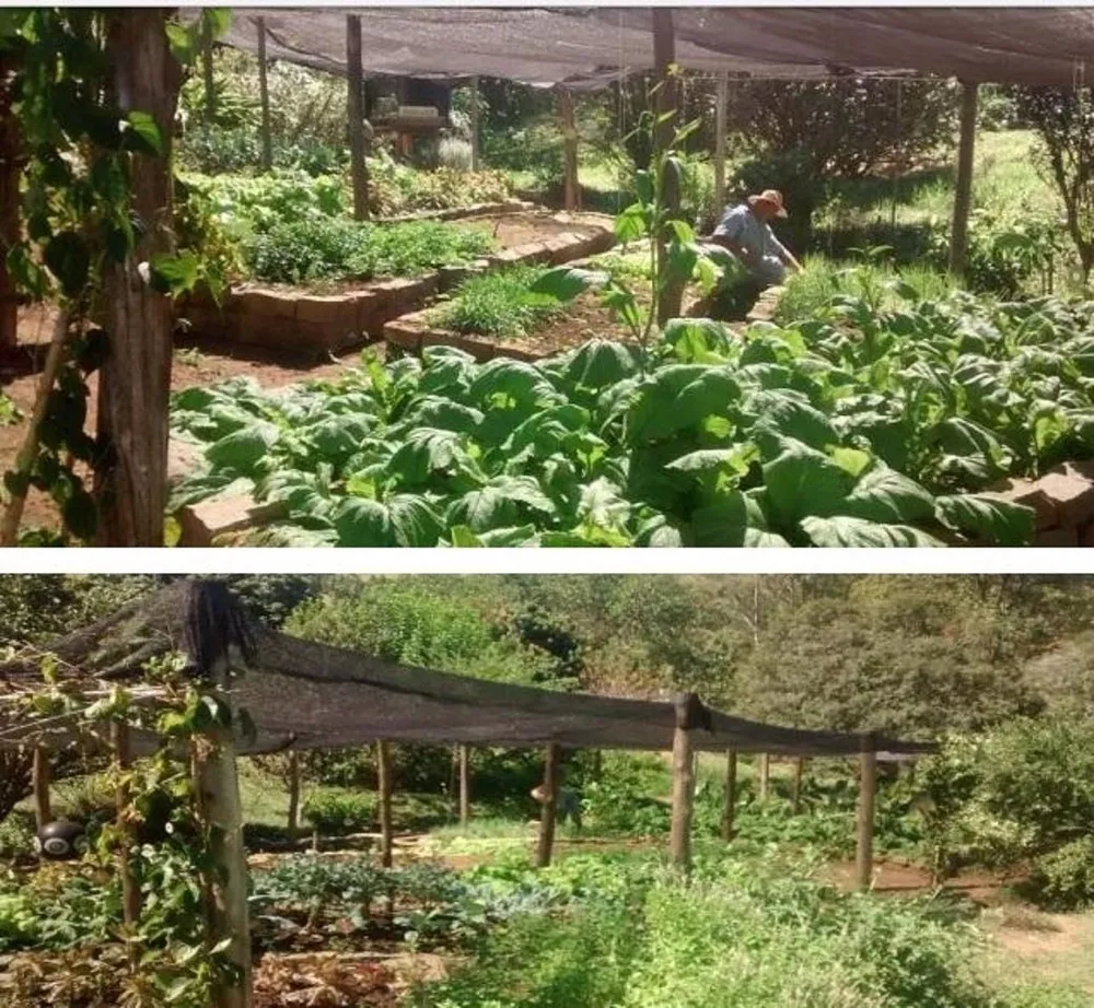 Fazenda, 500 m² - Foto 3