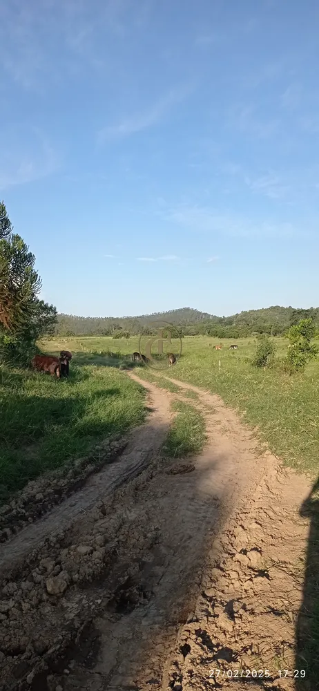Fazenda, 260 m² - Foto 2