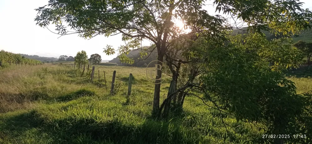 Fazenda, 260 m² - Foto 3