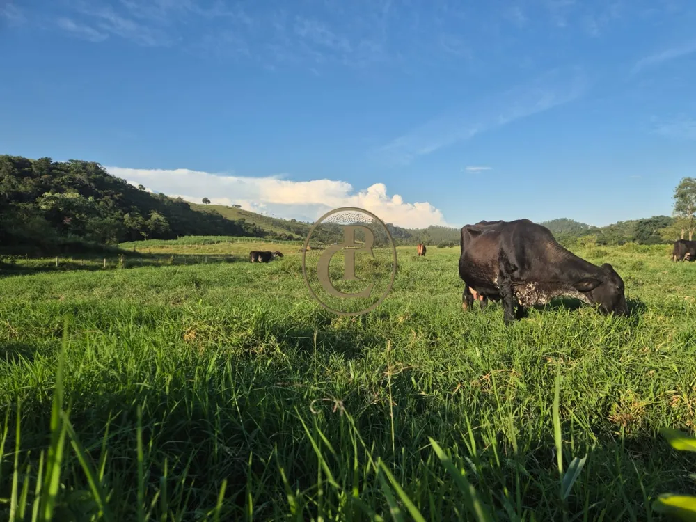 Fazenda, 260 m² - Foto 8
