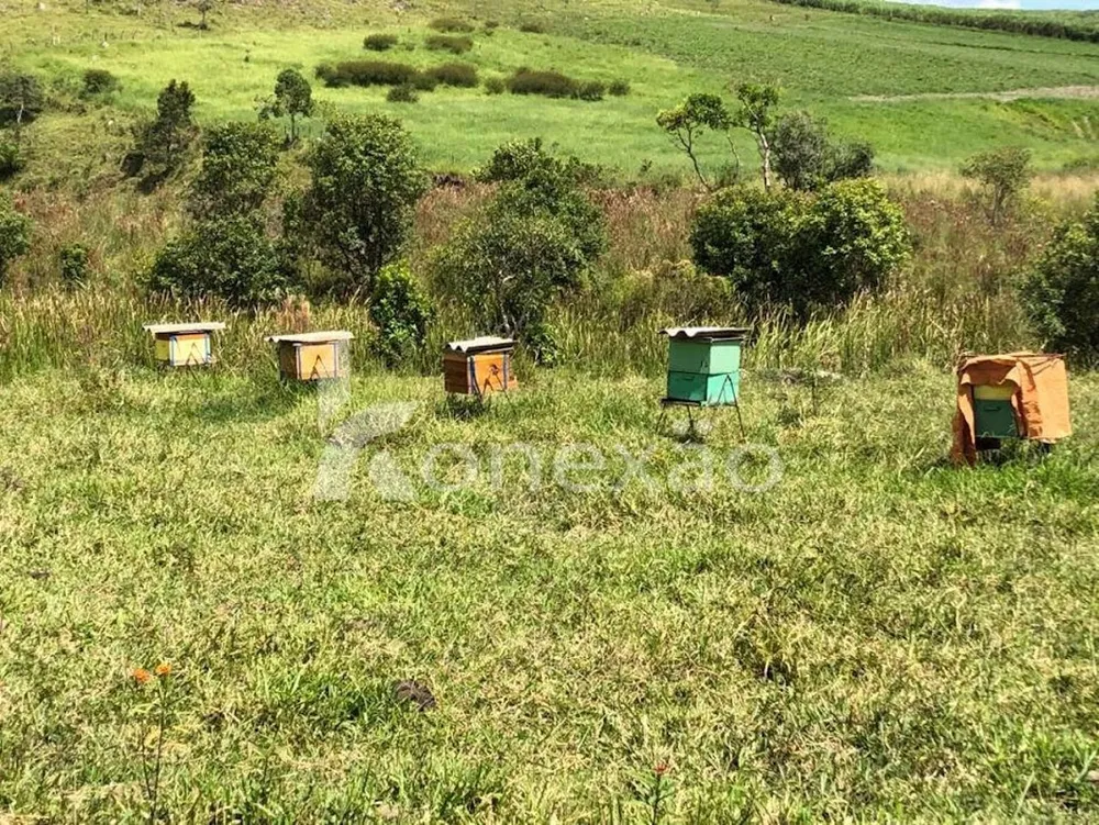 Fazenda, 400 m² - Foto 13