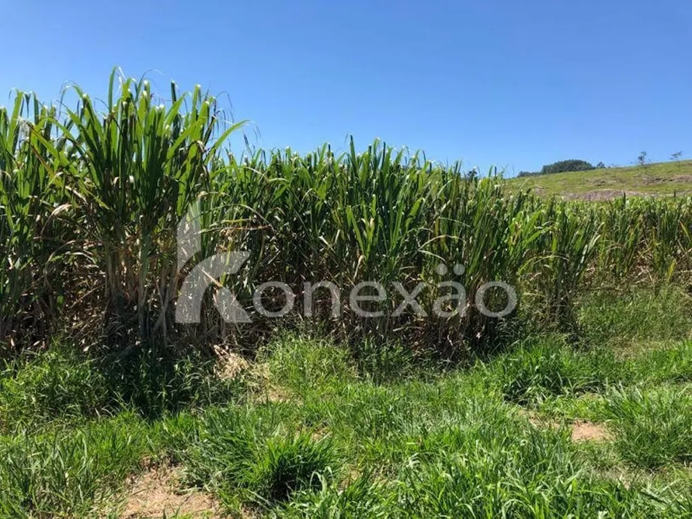 Fazenda, 400 m² - Foto 6