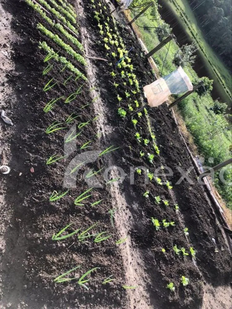 Fazenda, 400 m² - Foto 3