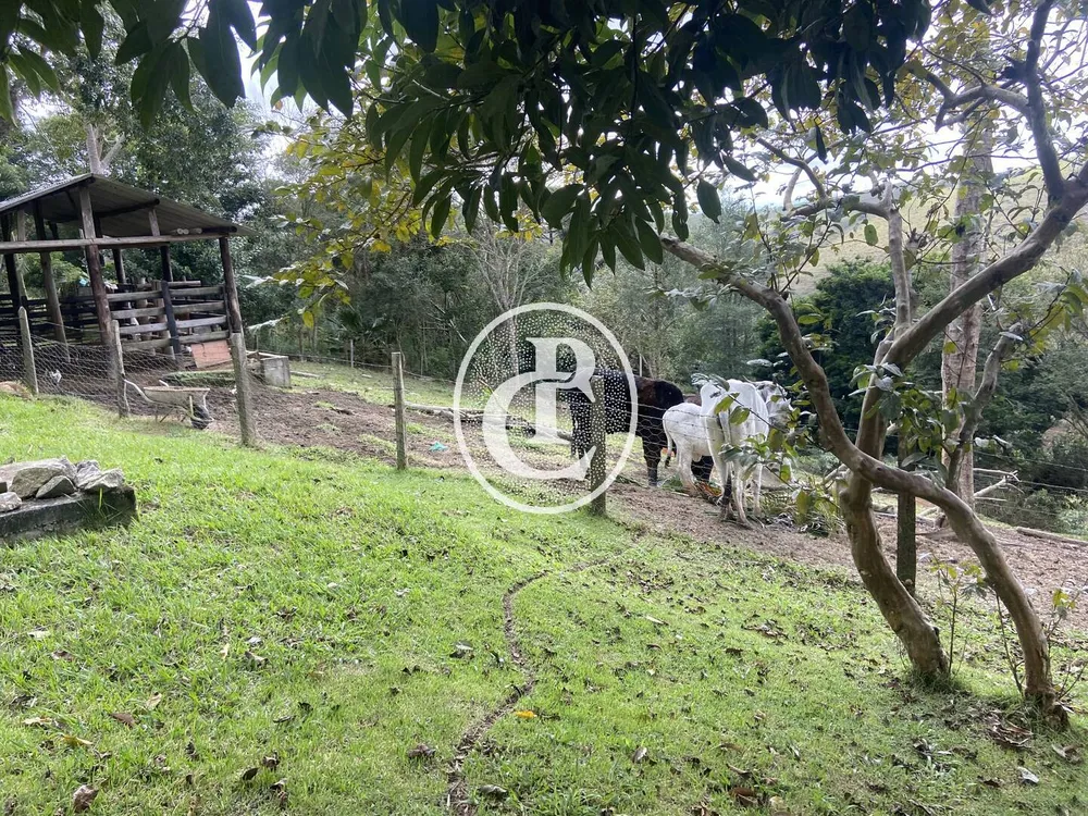 Chácara, 3 quartos, 8000 m² - Foto 5
