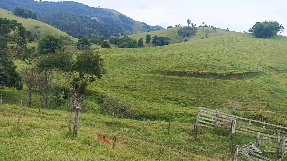 Terreno, 77 hectares - Foto 3