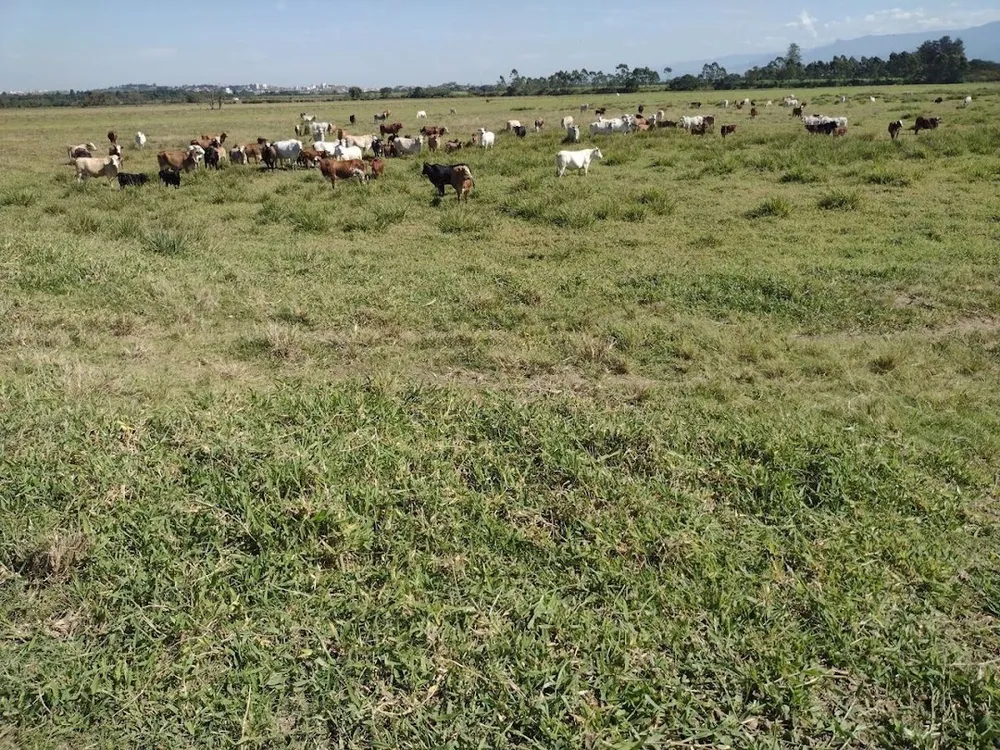 Fazenda, 120 m² - Foto 5
