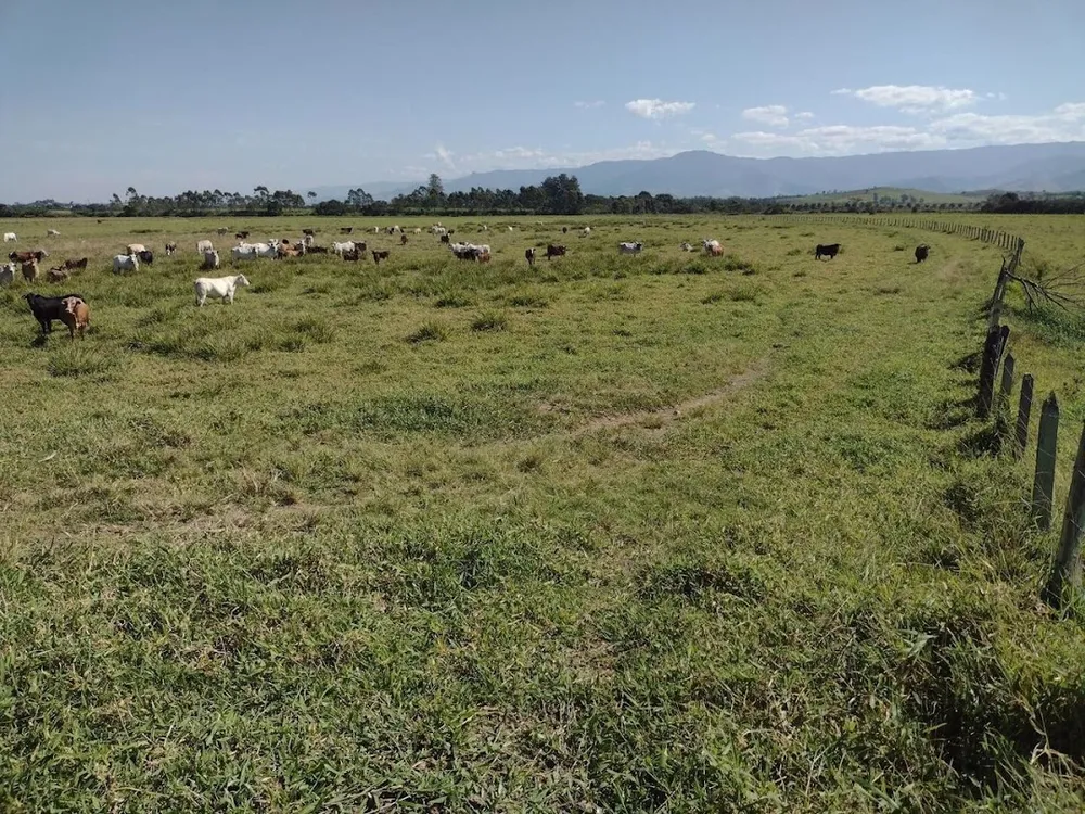 Fazenda, 120 m² - Foto 10