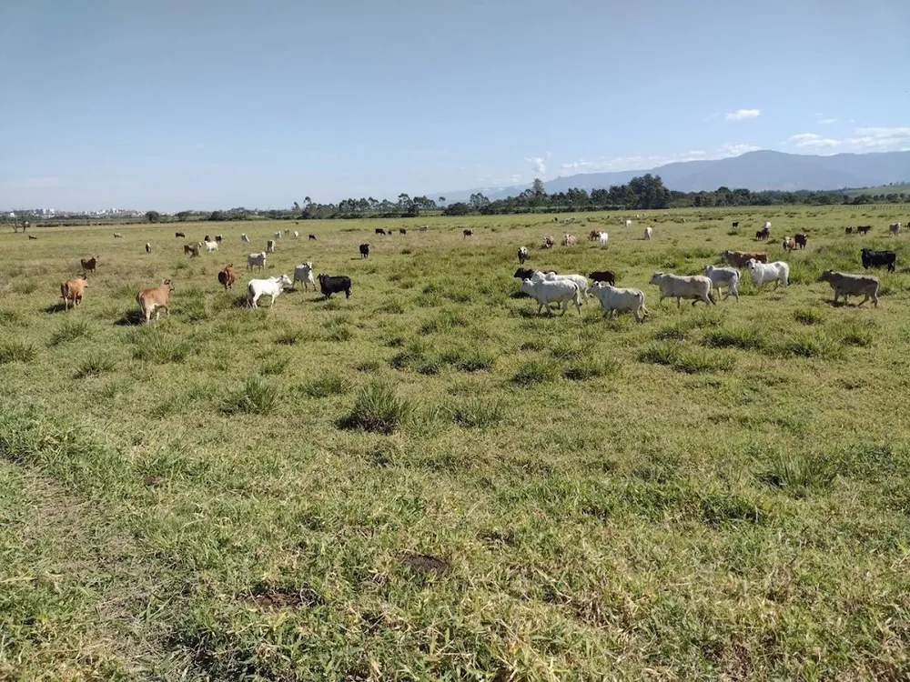 Fazenda, 120 m² - Foto 3