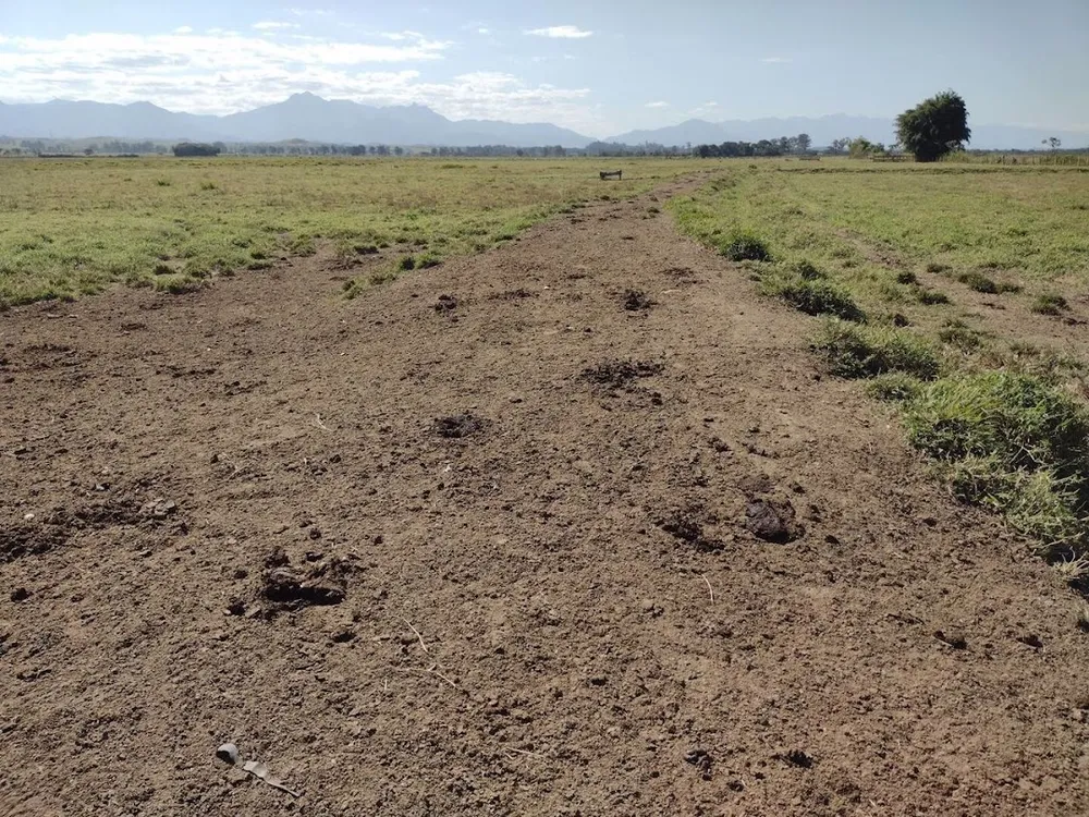 Fazenda, 120 m² - Foto 13