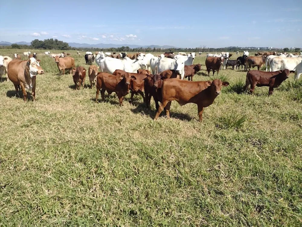 Fazenda, 120 m² - Foto 1