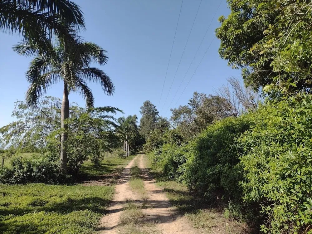 Fazenda, 120 m² - Foto 14