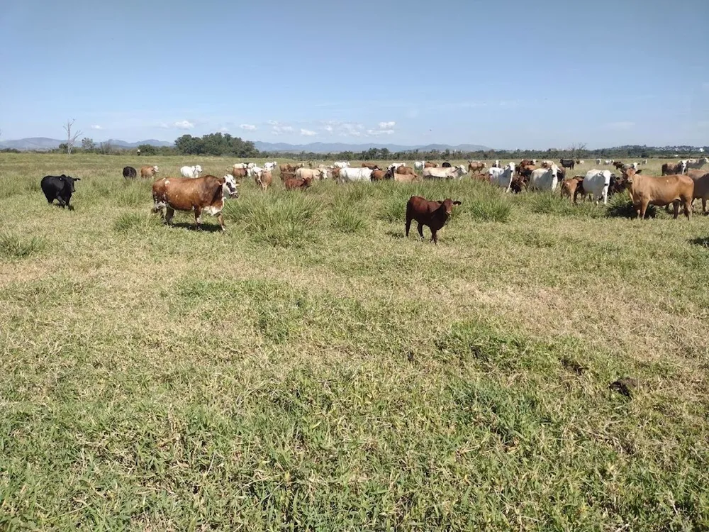 Fazenda, 120 m² - Foto 11